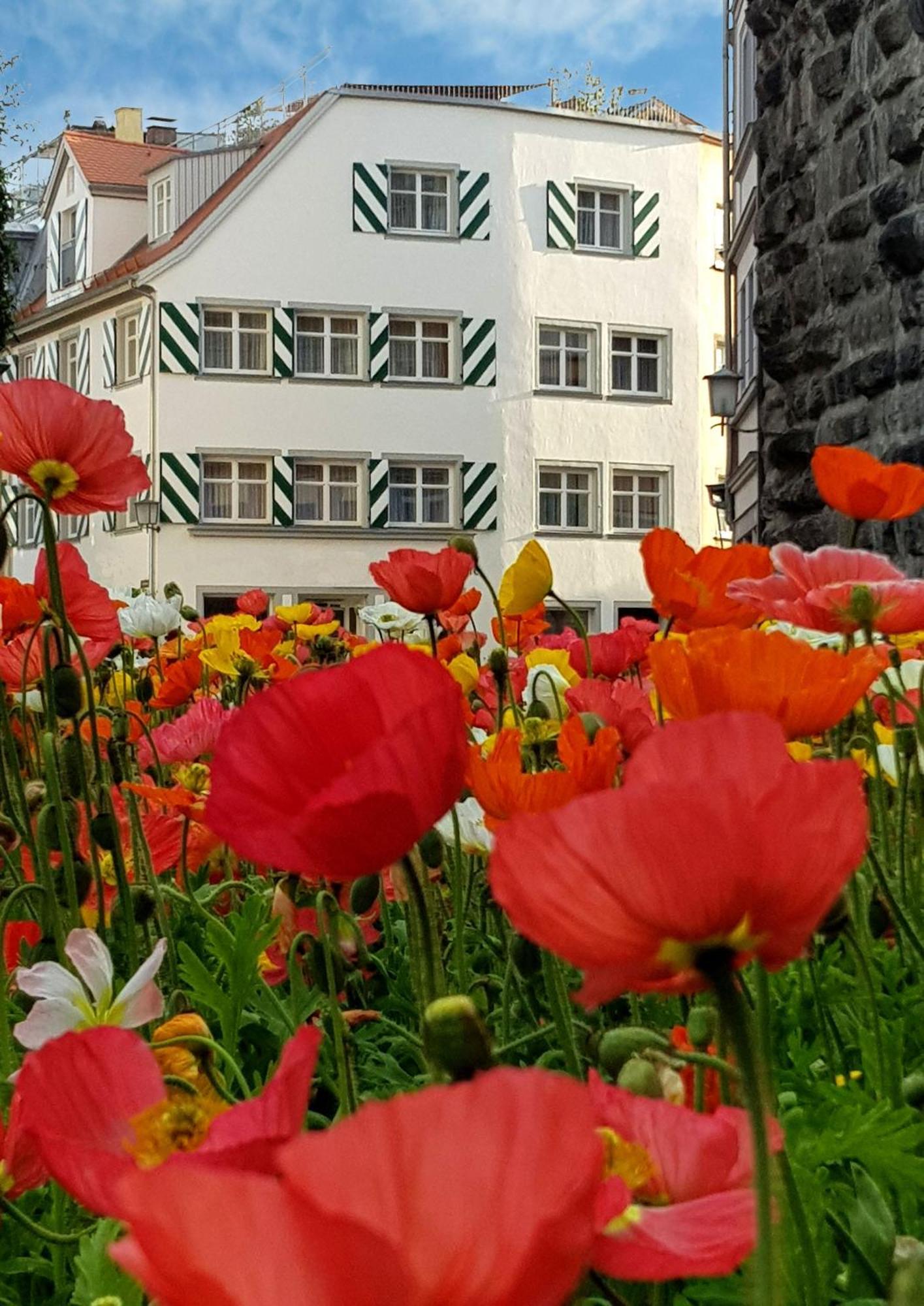 Adoris Auf Der Lindauer Insel *